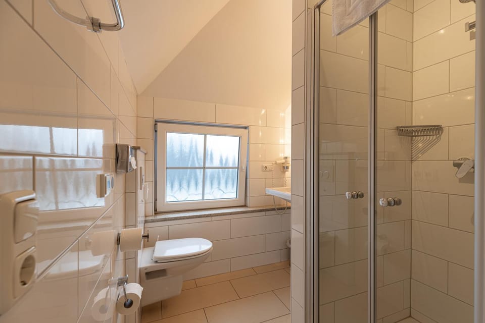 Shower, Toilet, Bathroom, towels