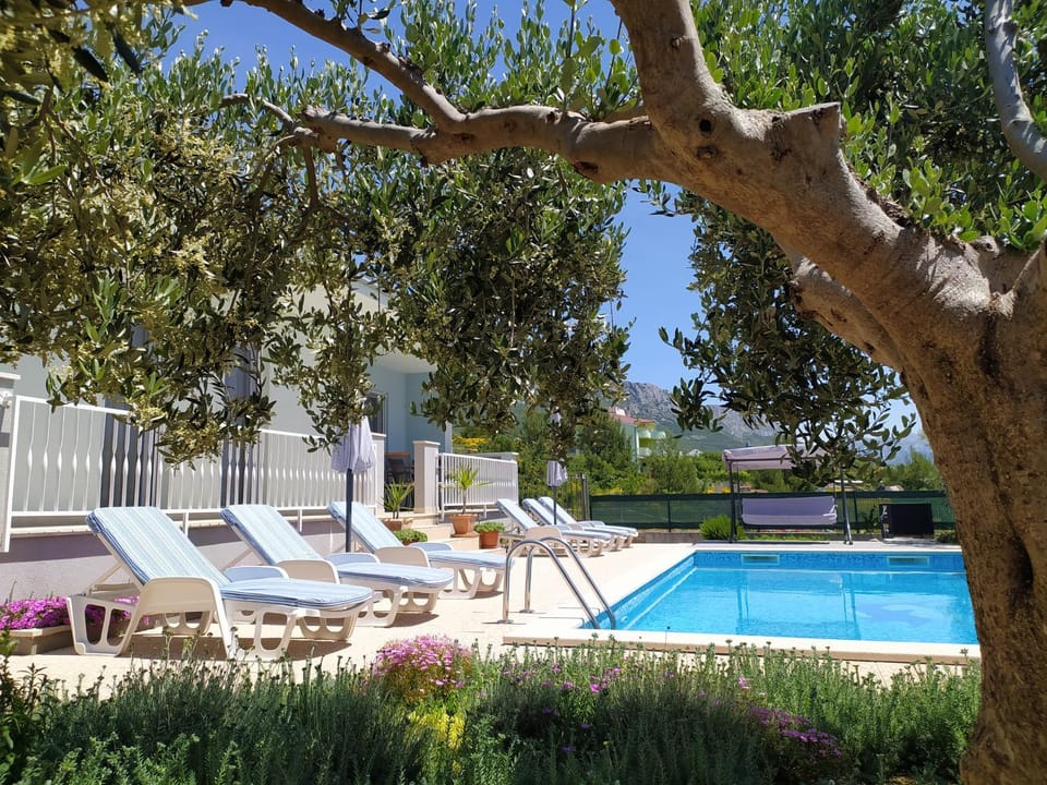 Spring, Day, Natural landscape, Garden, Garden view, Swimming pool, sunbed