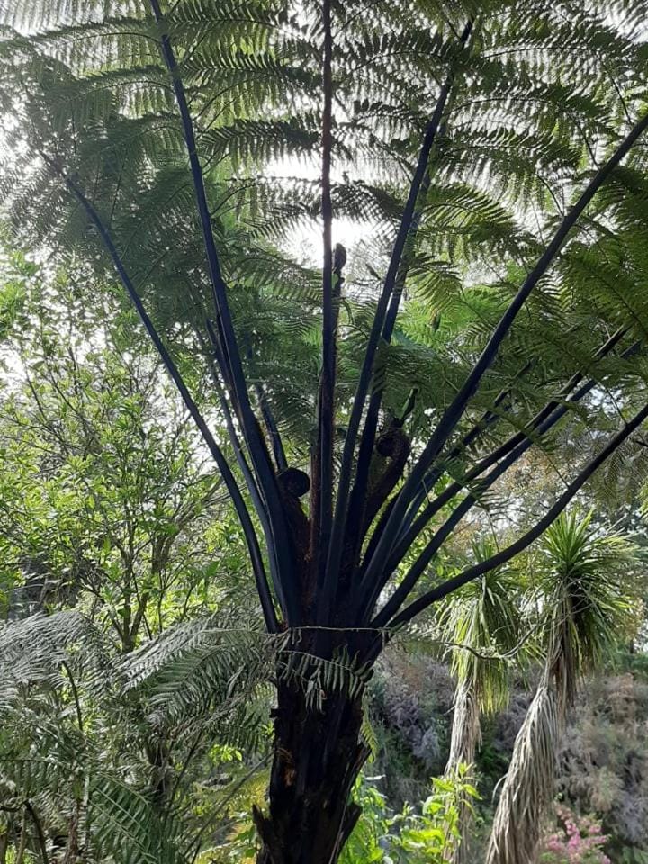 Natural landscape