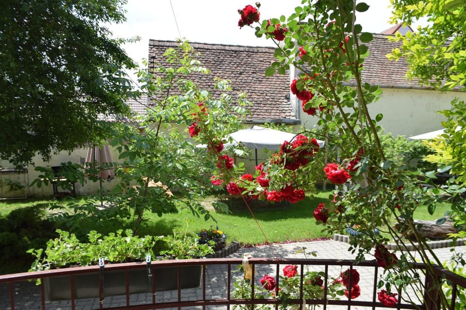Patio, Natural landscape, Balcony/Terrace