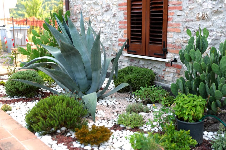 Property building, Facade/entrance, Garden, Decorative detail