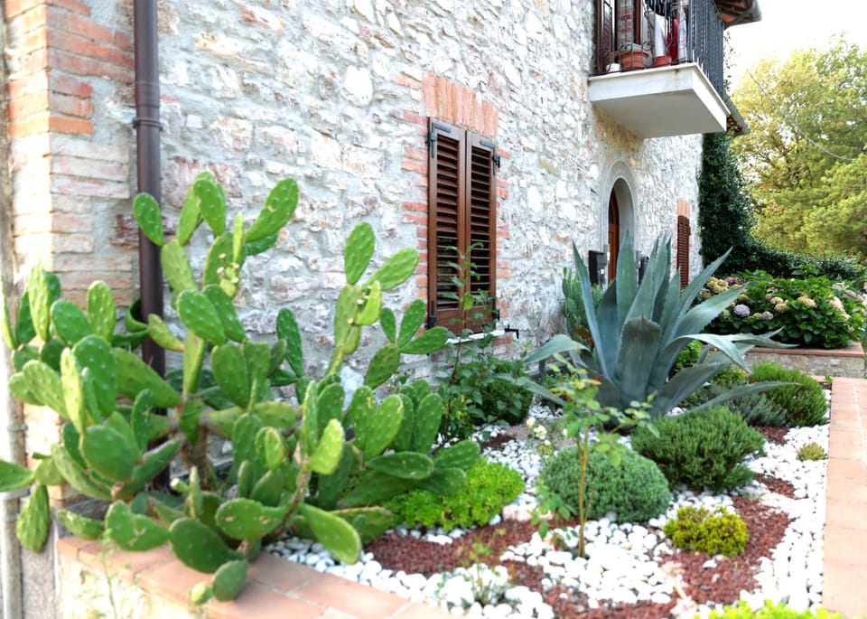 Facade/entrance, Garden, Decorative detail