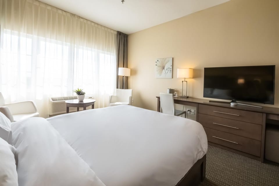 Bed, TV and multimedia, Photo of the whole room