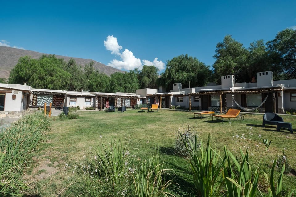 Property building, Garden, Garden view