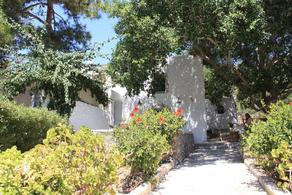 Facade/entrance, Garden