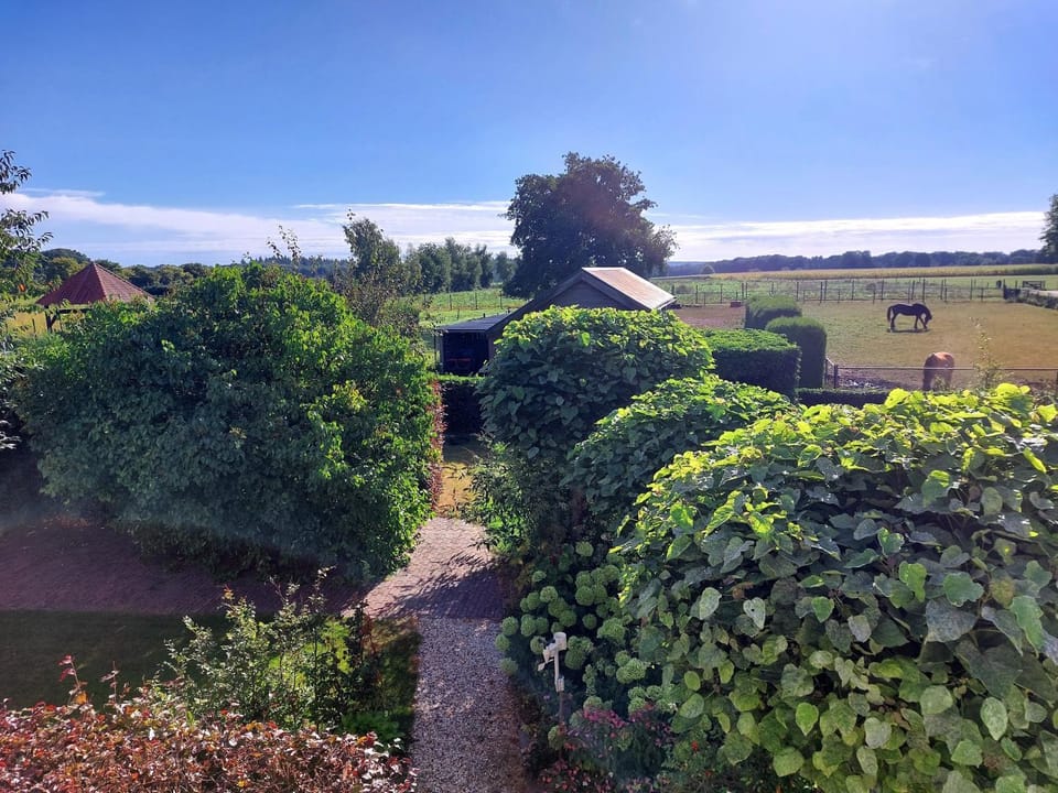 View (from property/room)
