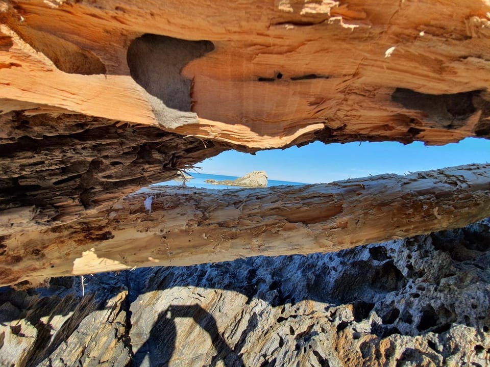 Natural landscape, Beach, Hiking
