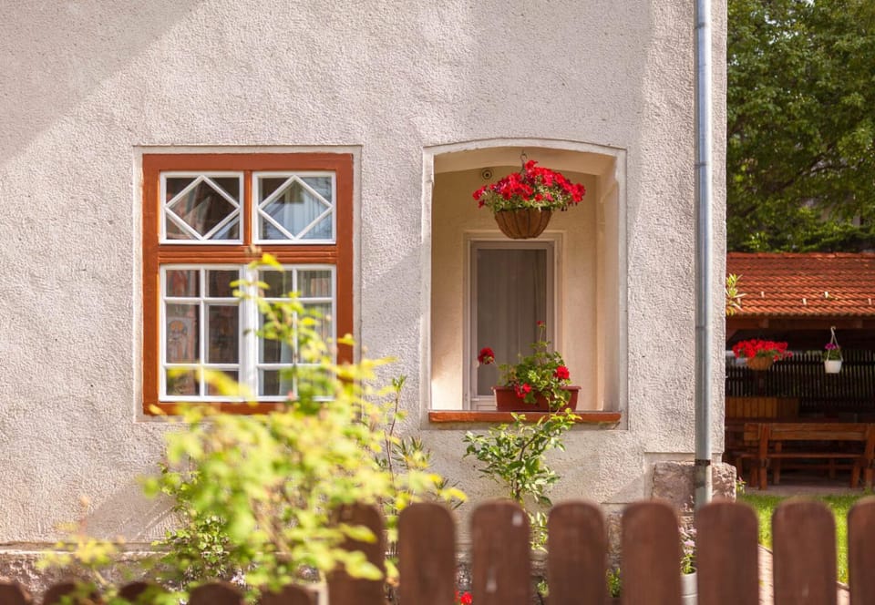 Pensiunea Ritz Bed and Breakfast in Brașov County