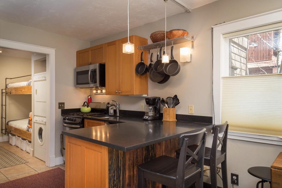 Viking Lodge 109 - Viking Venue Apartment in Telluride