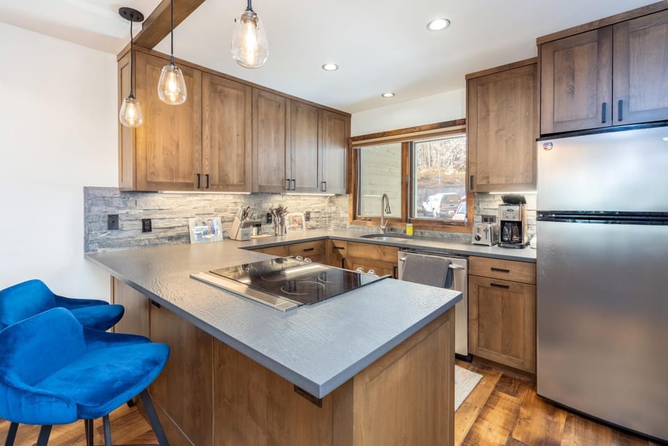 Riverside A101 - Riverside Hummingbird Apartment in Telluride