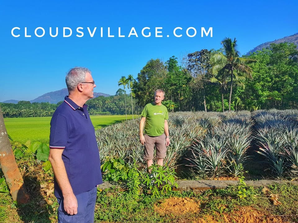 Day, People, Natural landscape, Mountain view, group of guests