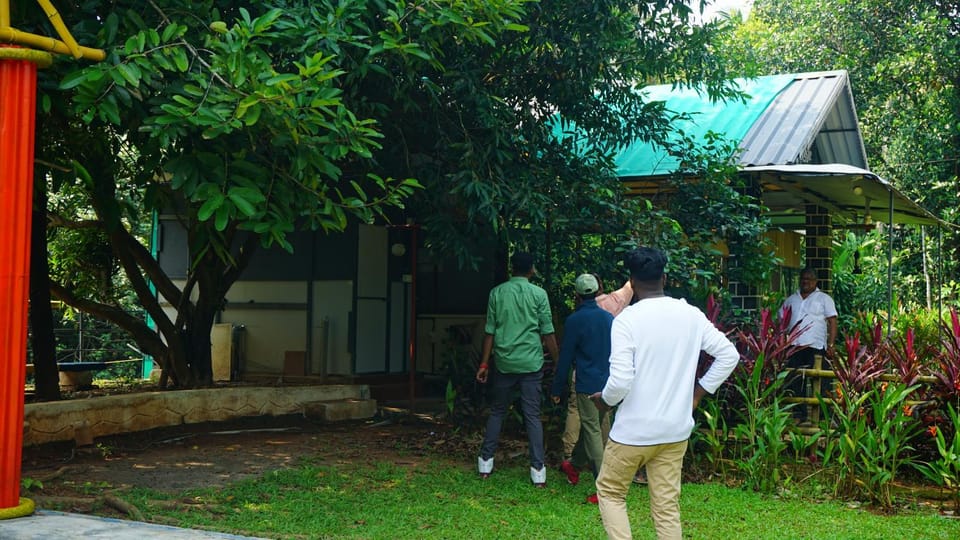 People, Garden, Garden view, group of guests