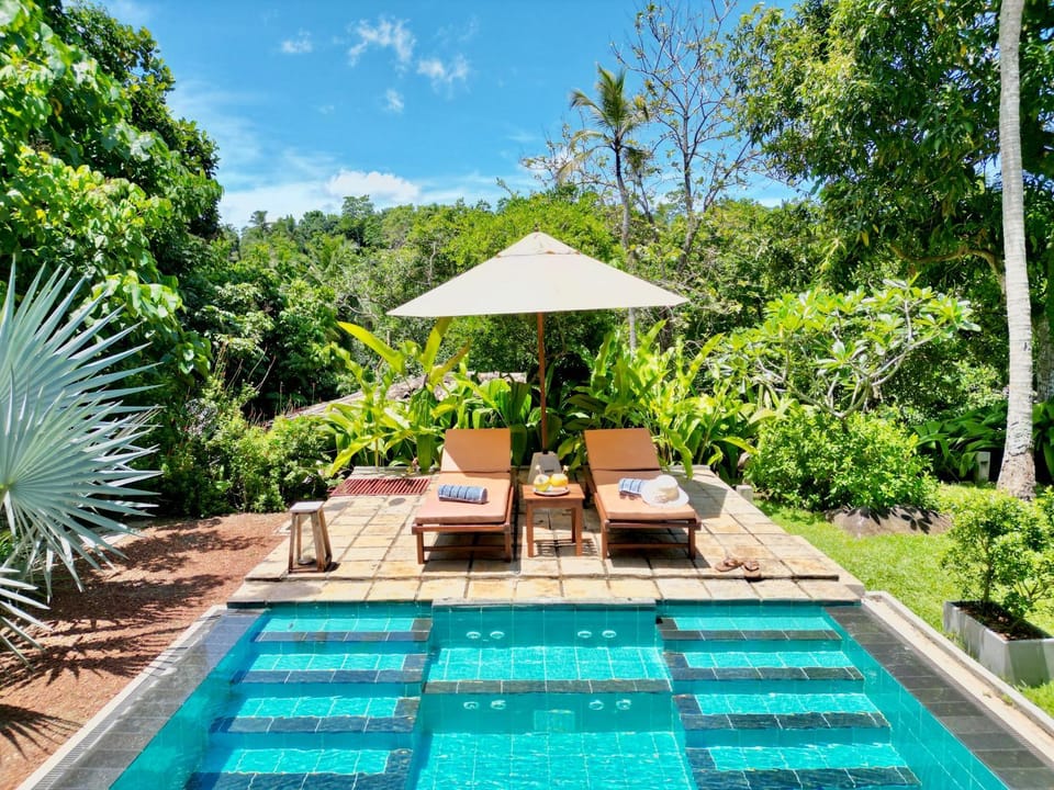 Natural landscape, Swimming pool, sunbed