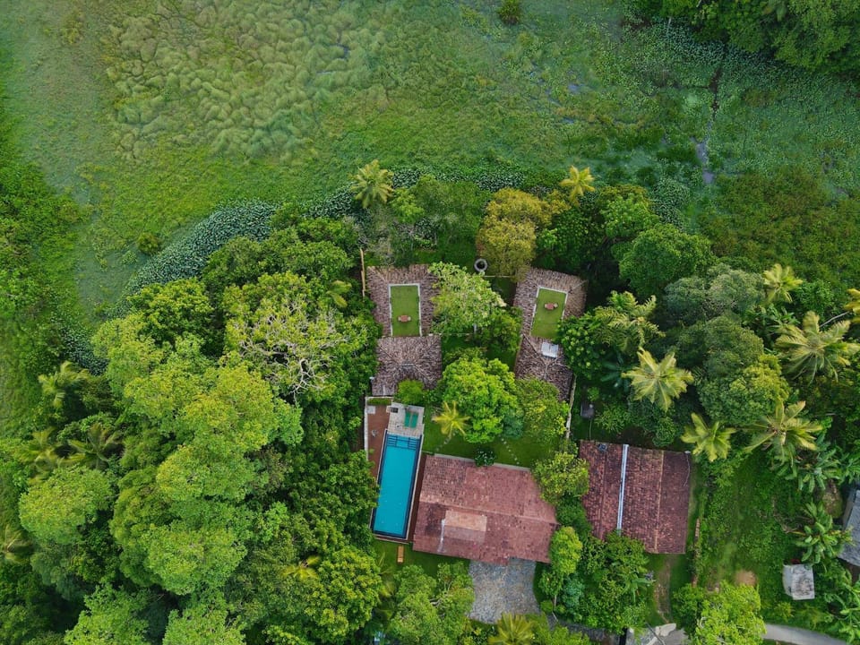 Property building, Natural landscape, Bird's eye view, Guests, Swimming pool
