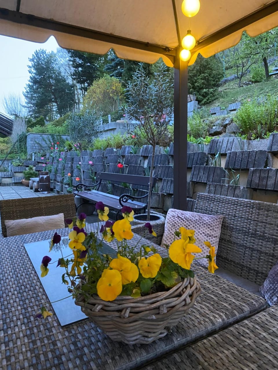 Balcony/Terrace
