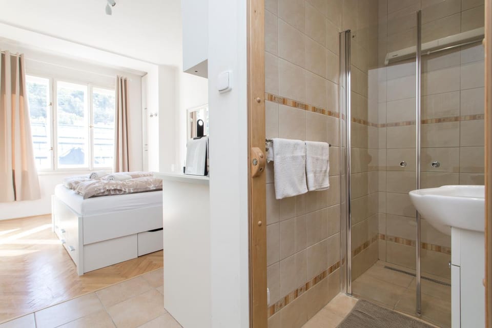 Cozy studio near city center Apartment in Prague