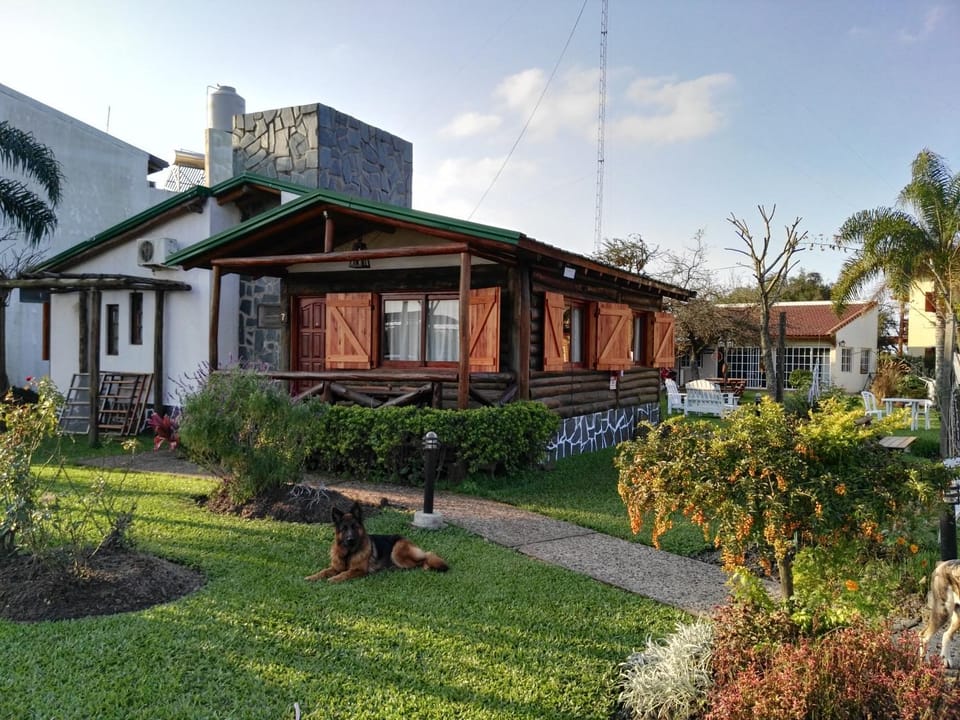Property building, Spring, Day, Natural landscape, Garden, Pets, Garden view