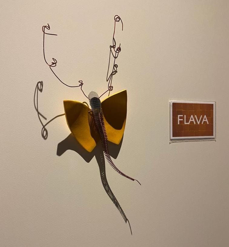 Air B&B Casa Dodo Bed and Breakfast in Flanders