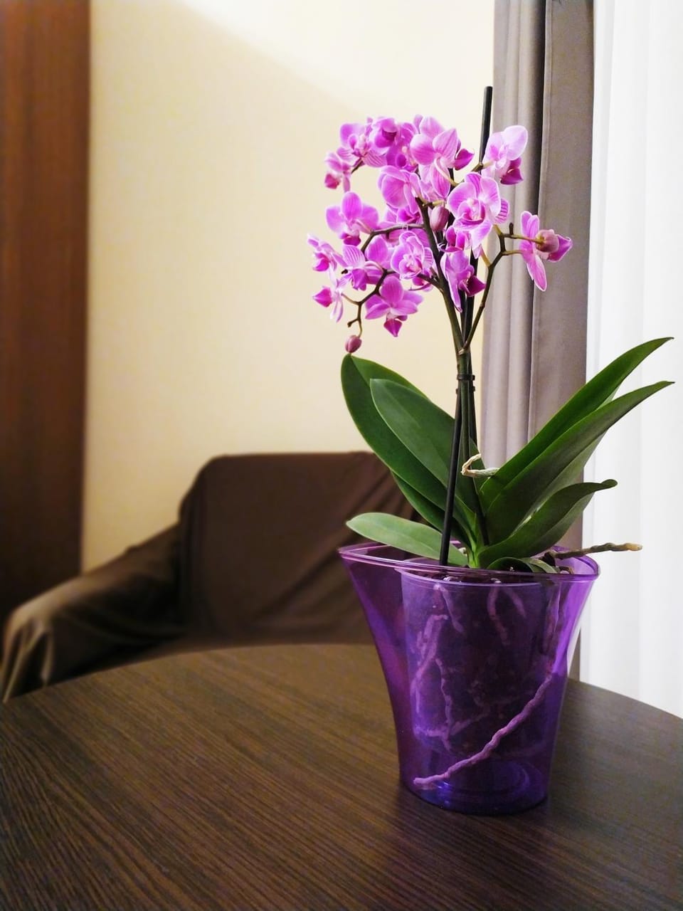 Центр Свободи Apartment in Lviv