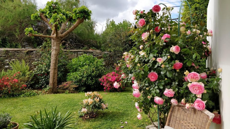 Garden view