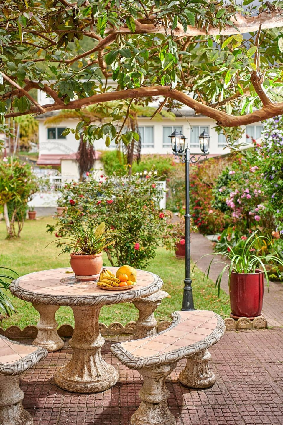 Day, Garden, Garden view