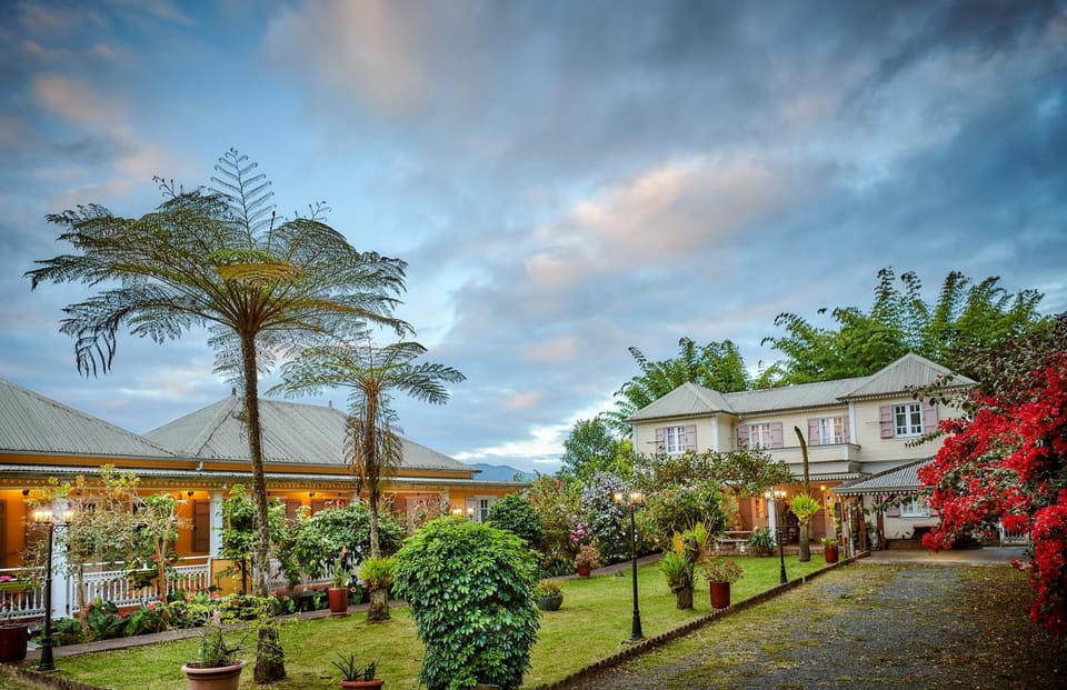 Property building, Garden, Garden view