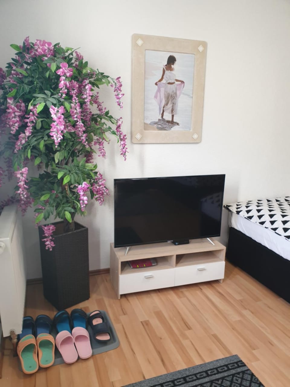 TV and multimedia