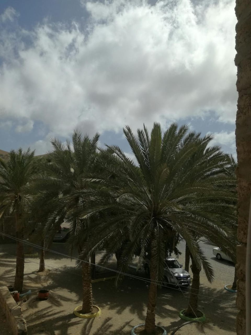Natural landscape, View (from property/room), Garden view