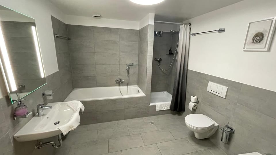 Shower, Toilet, Bathroom, Bath