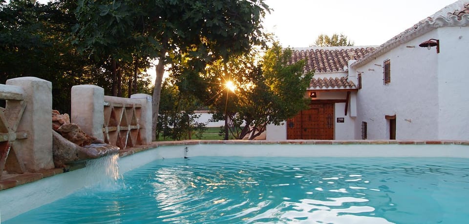 Garden, Swimming pool