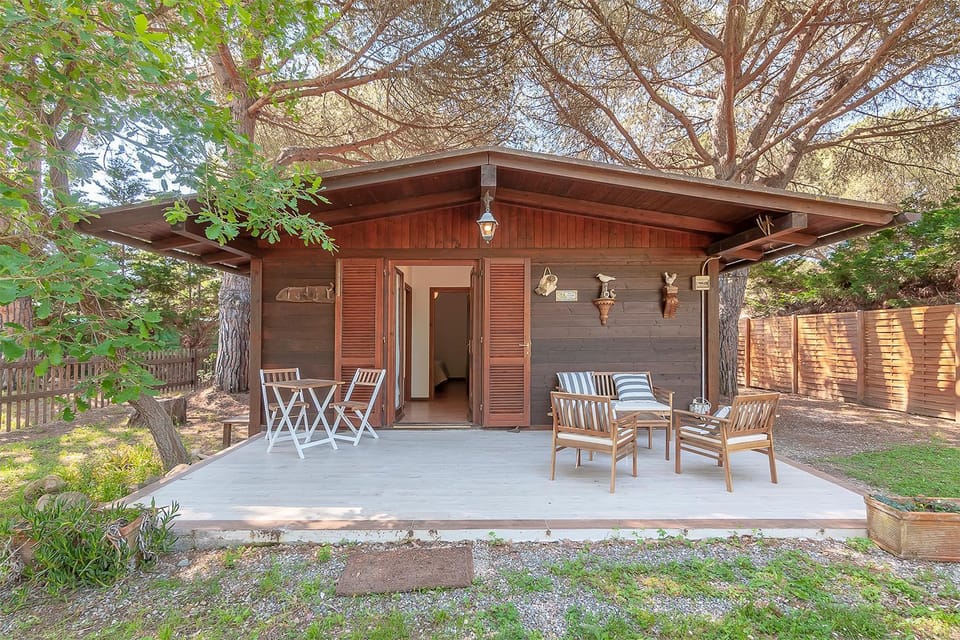 Patio, Natural landscape, Garden