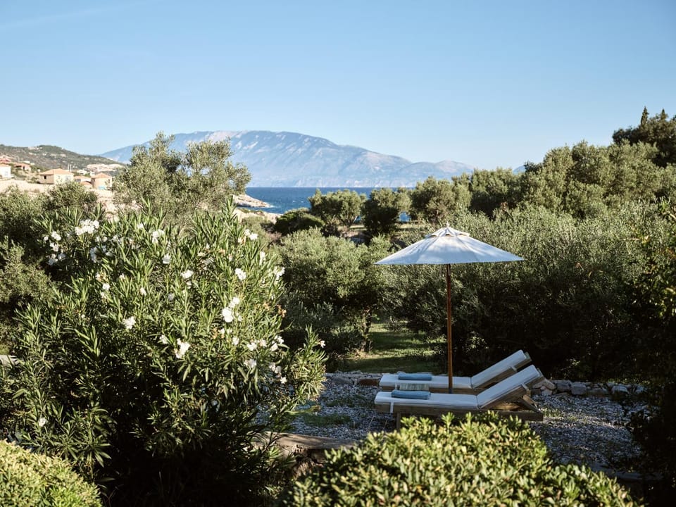 Natural landscape, Garden, sunbed