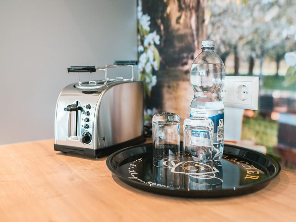 Ferienwohnung 12 Kirschen Apartment in Offenburg