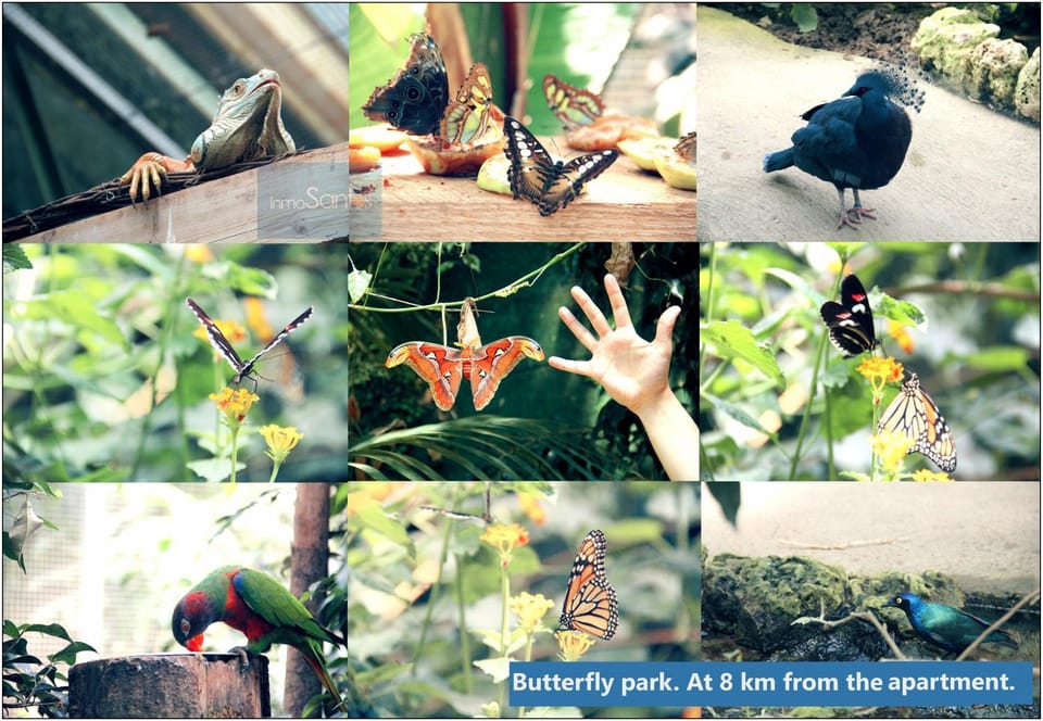Activities, Children play ground, Animals, Entertainment