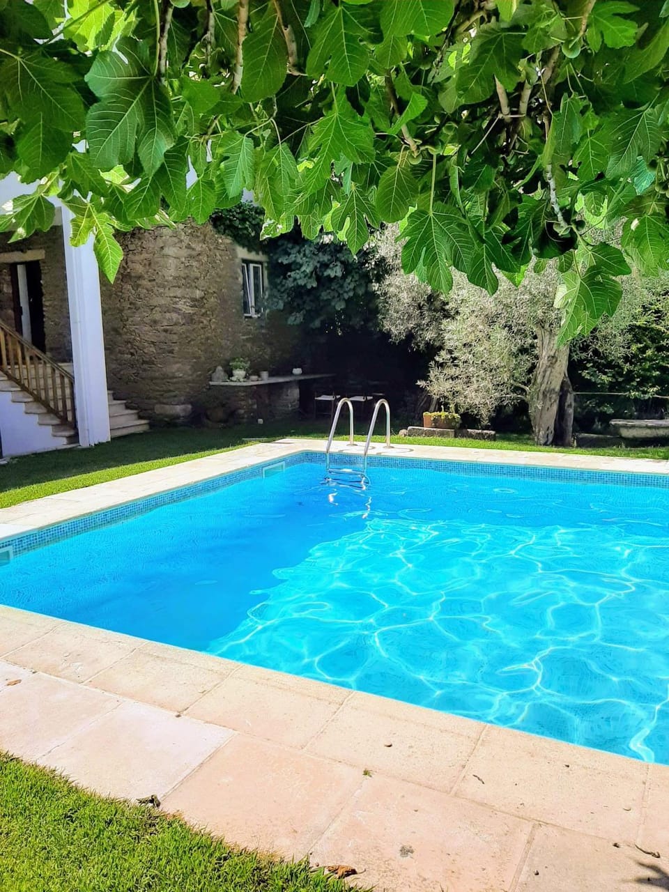 Day, Garden, Pool view, Swimming pool
