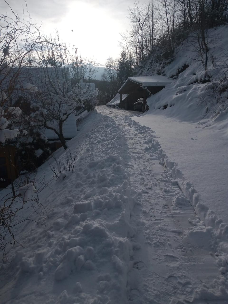 Winter, Garden