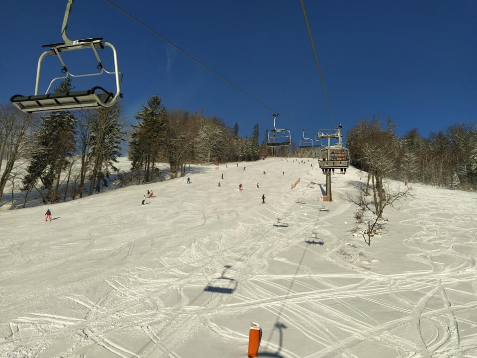 Day, People, Winter, Skiing, group of guests