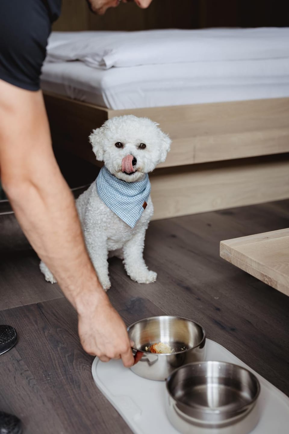 Pets