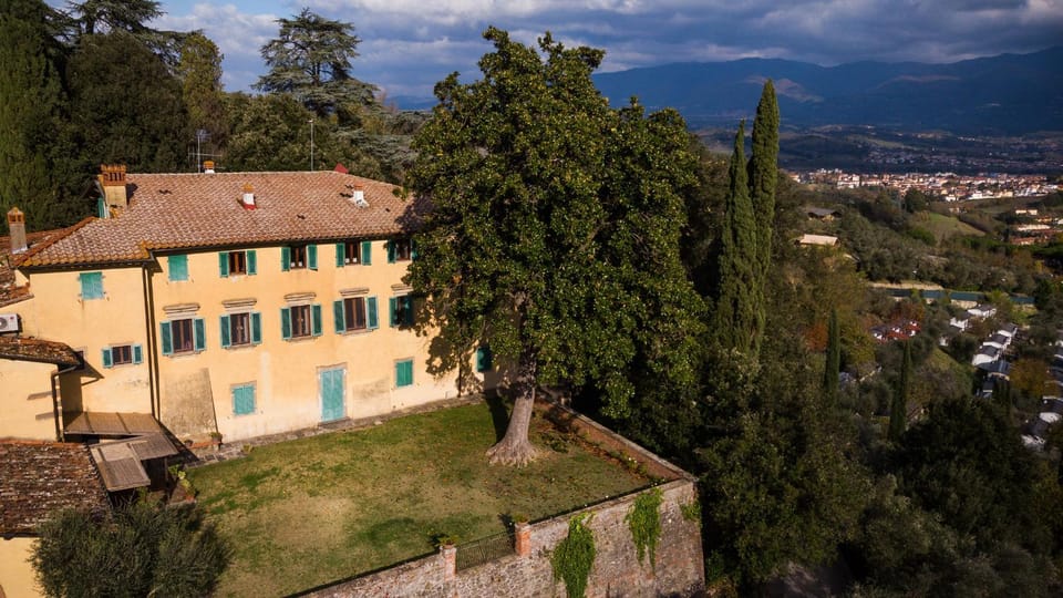 Property building, Neighbourhood, Bird's eye view, Garden view