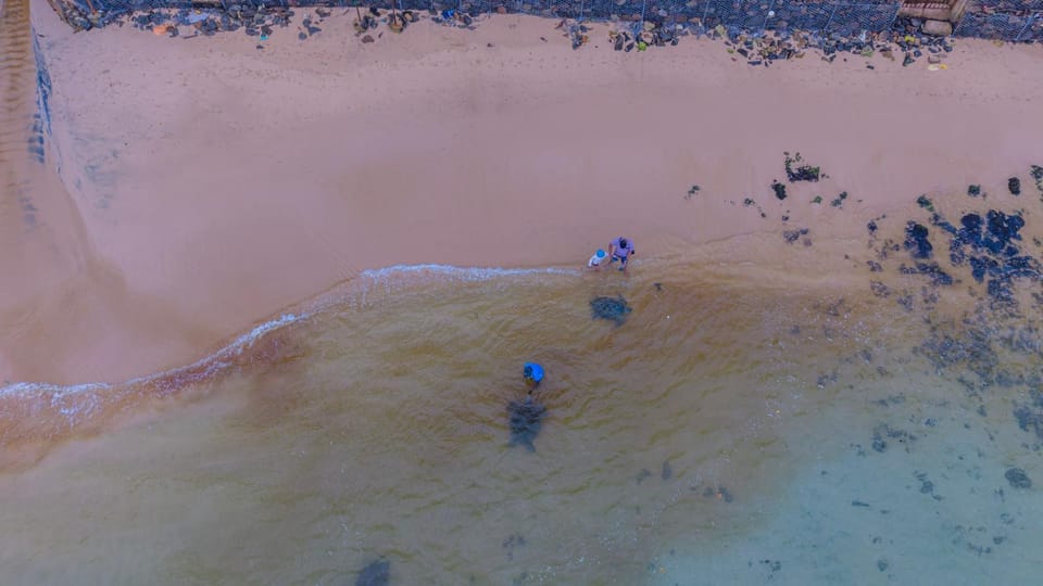 Day, People, Natural landscape, Bird's eye view, group of guests