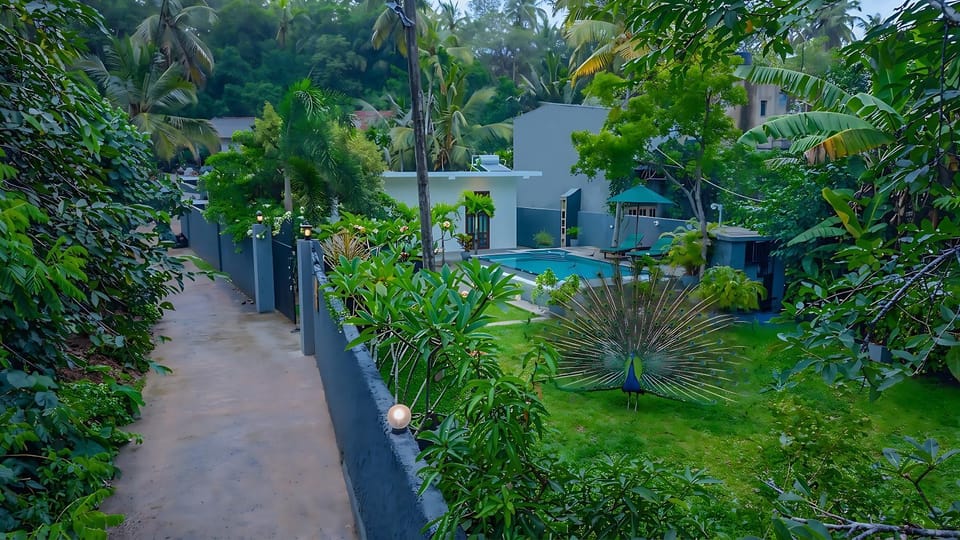 Property building, Garden, Garden view