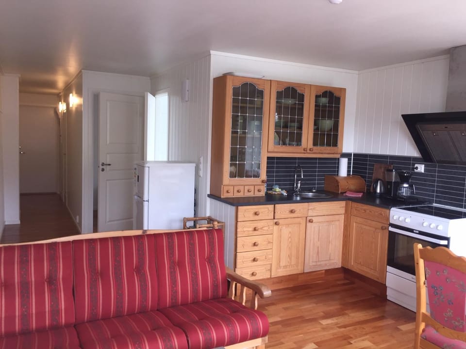 Lovely 3 rooms apartment for holiday in Nyksund Apartment in Nordland, Norway