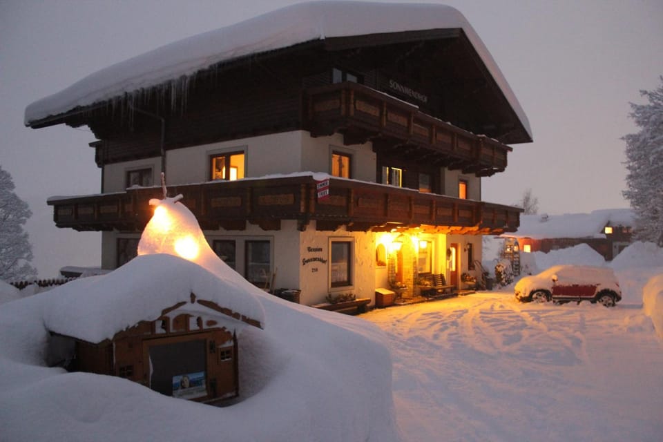 Winter, Ski School, Skiing, Guests, group of guests