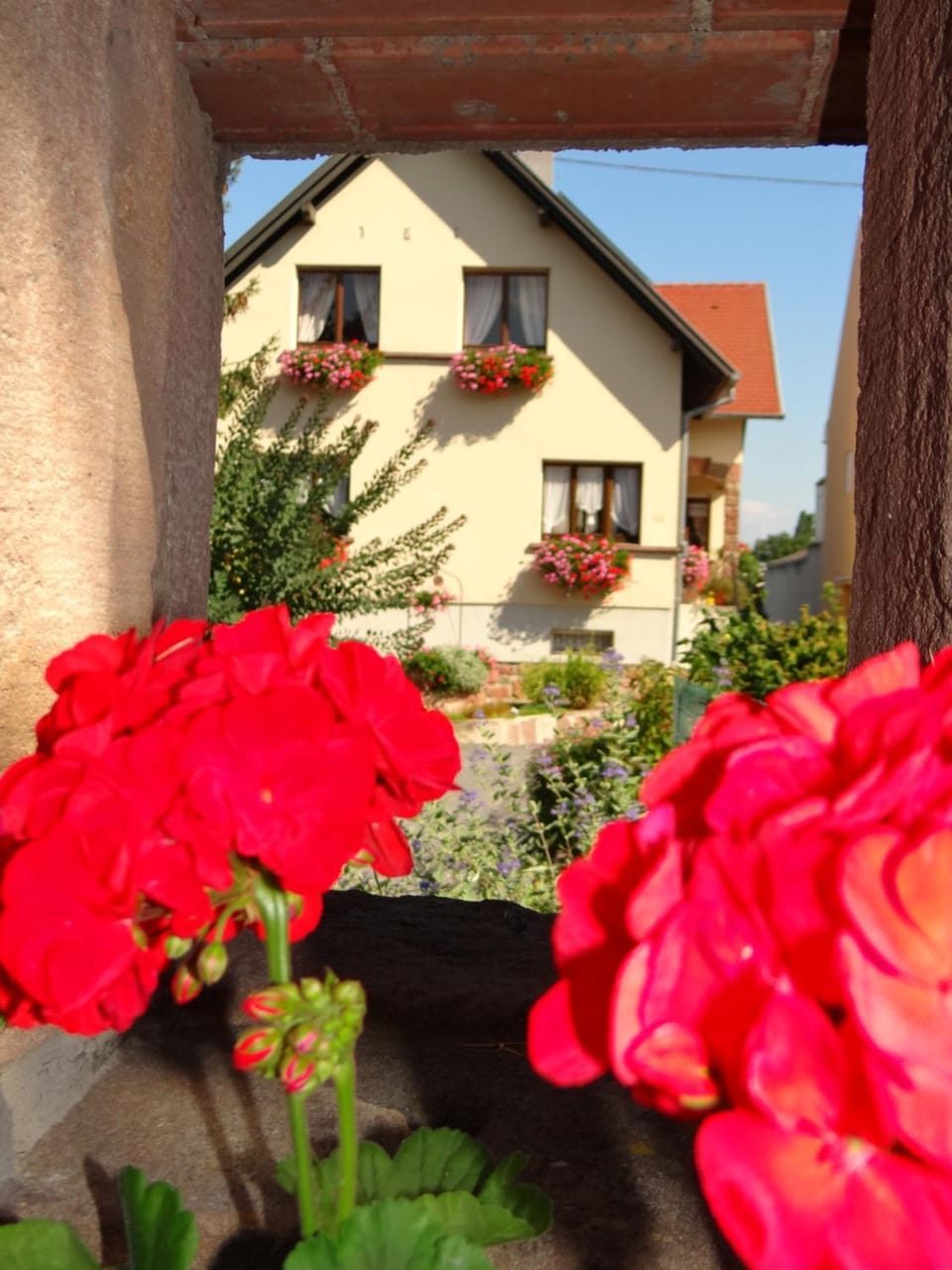 Chambre d'hôtes du Zellberg Bed and Breakfast in Grand Est