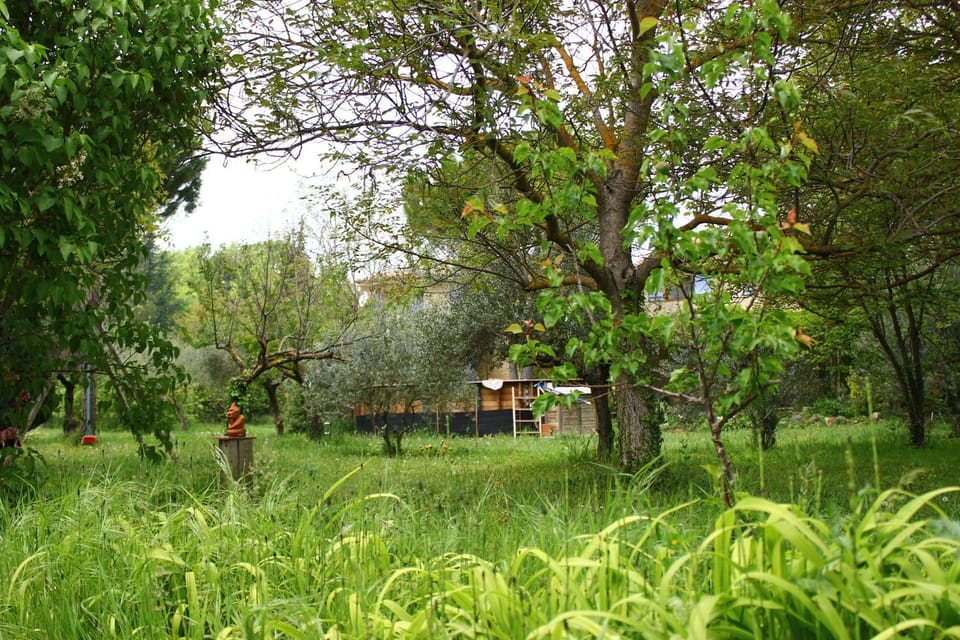 Natural landscape