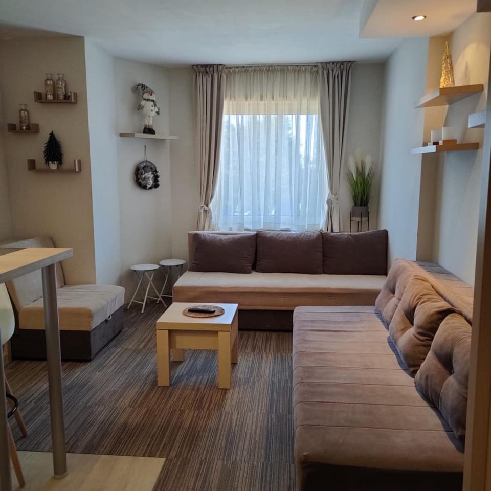 Tim 135 Konaci-Angella Centar Apartment in Serbia