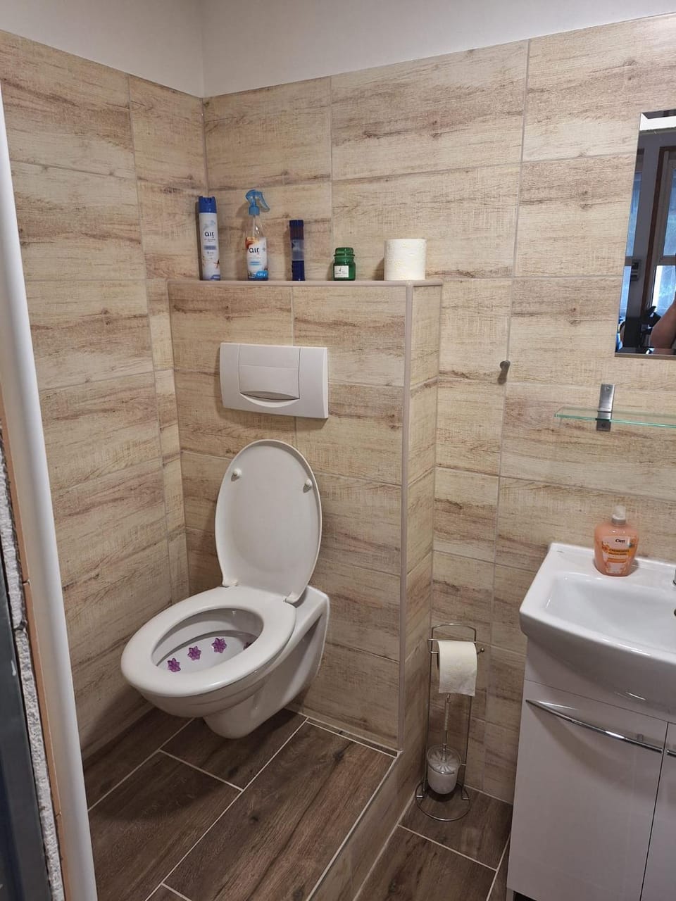 Toilet, Bathroom