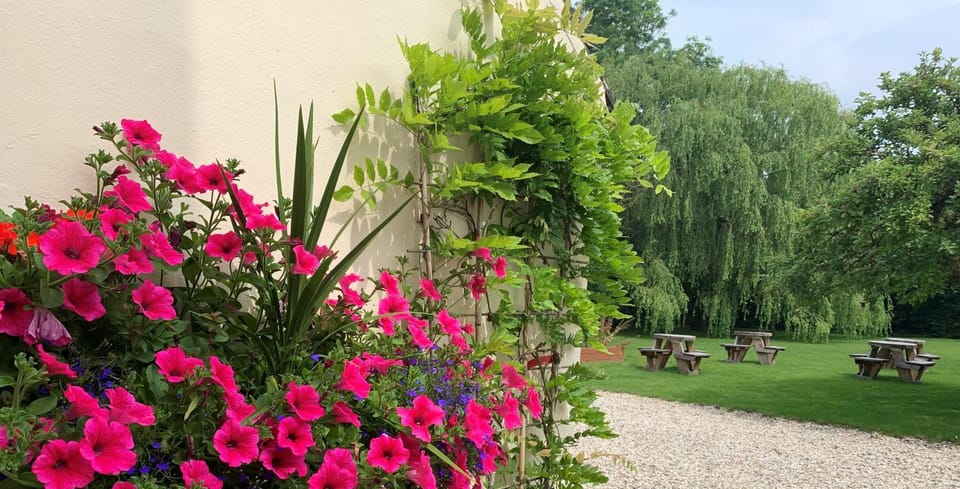 Garden view