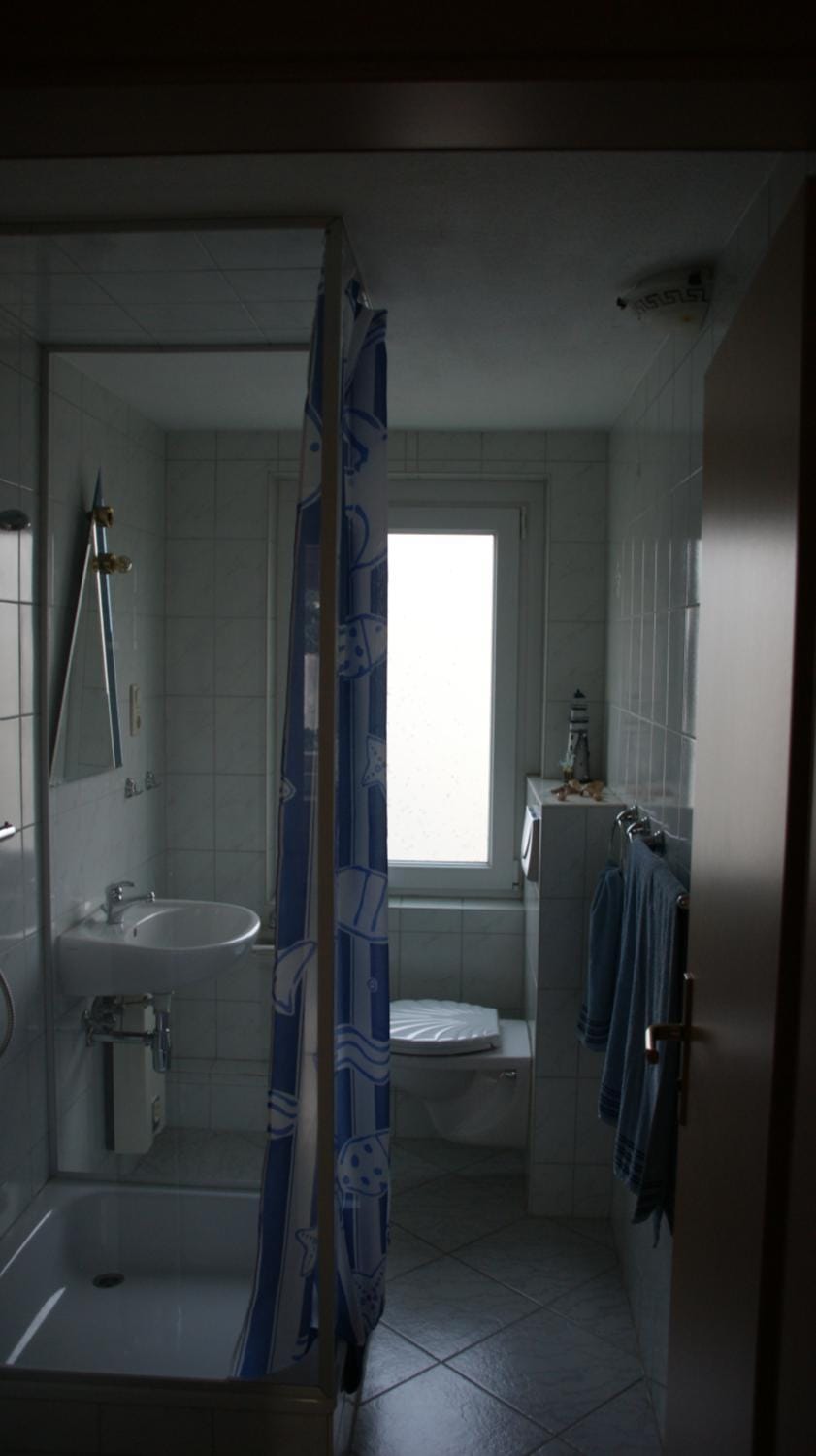 Shower, Toilet, Photo of the whole room