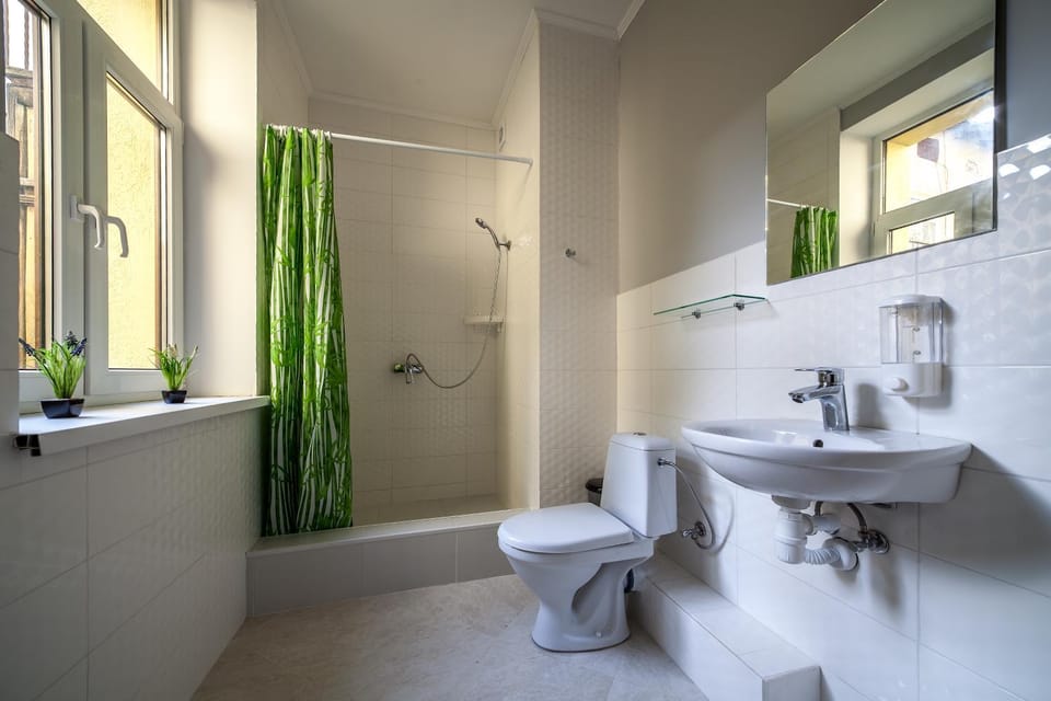 Shower, Toilet, towels